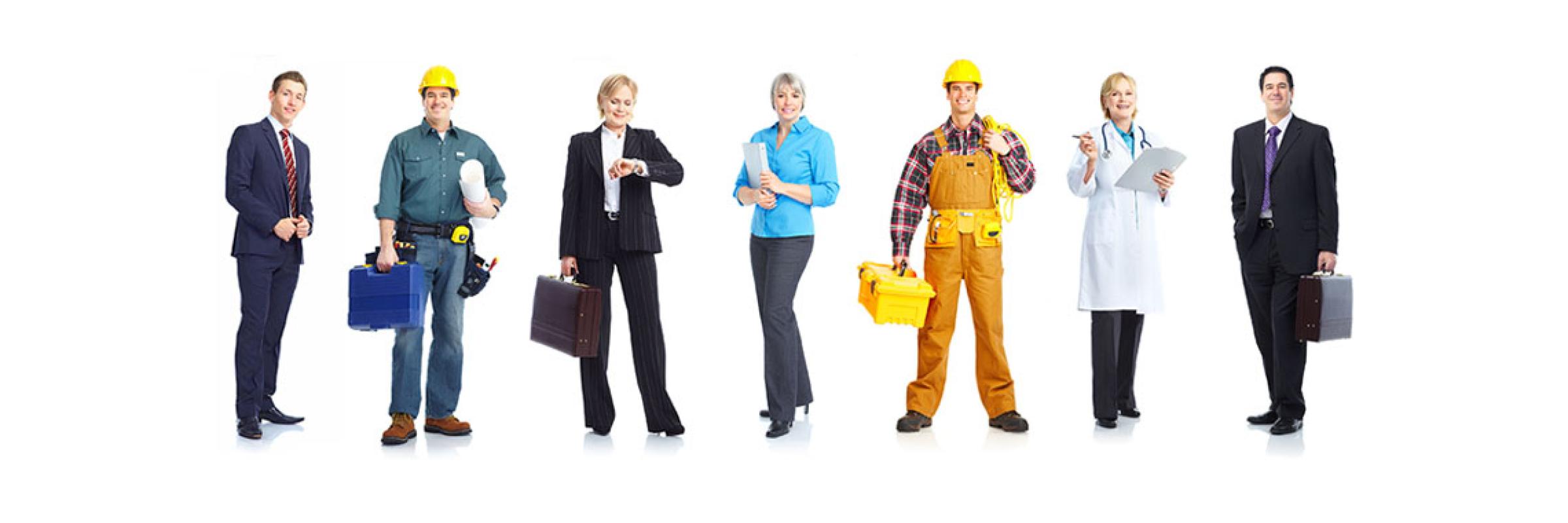 Het Terug naar Werk-Traject